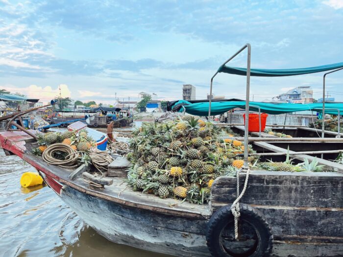 can-tho-floating-market-by-yourself-blog-time-cai-rang-floating-market-price-travel