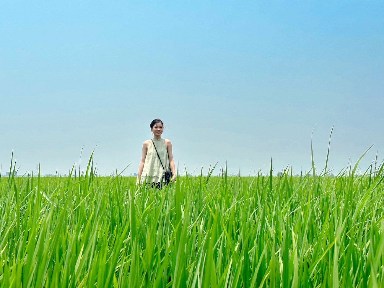 places-to-visit-in-sekinchan-things-to-do-what-to-do-tourist-spot-attraction-paddy-field-season-best-time-to-visit-day-trip-itinerary-sekinchan00010