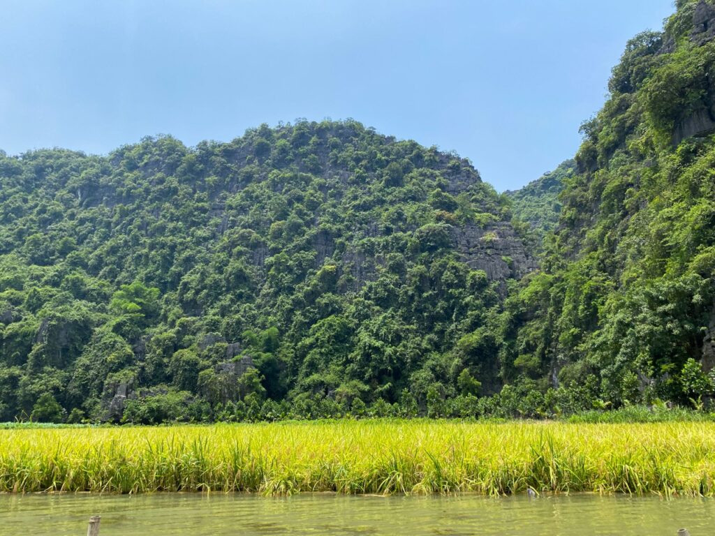 hanoi-to-ninh-binh-tam-coc-bus-train