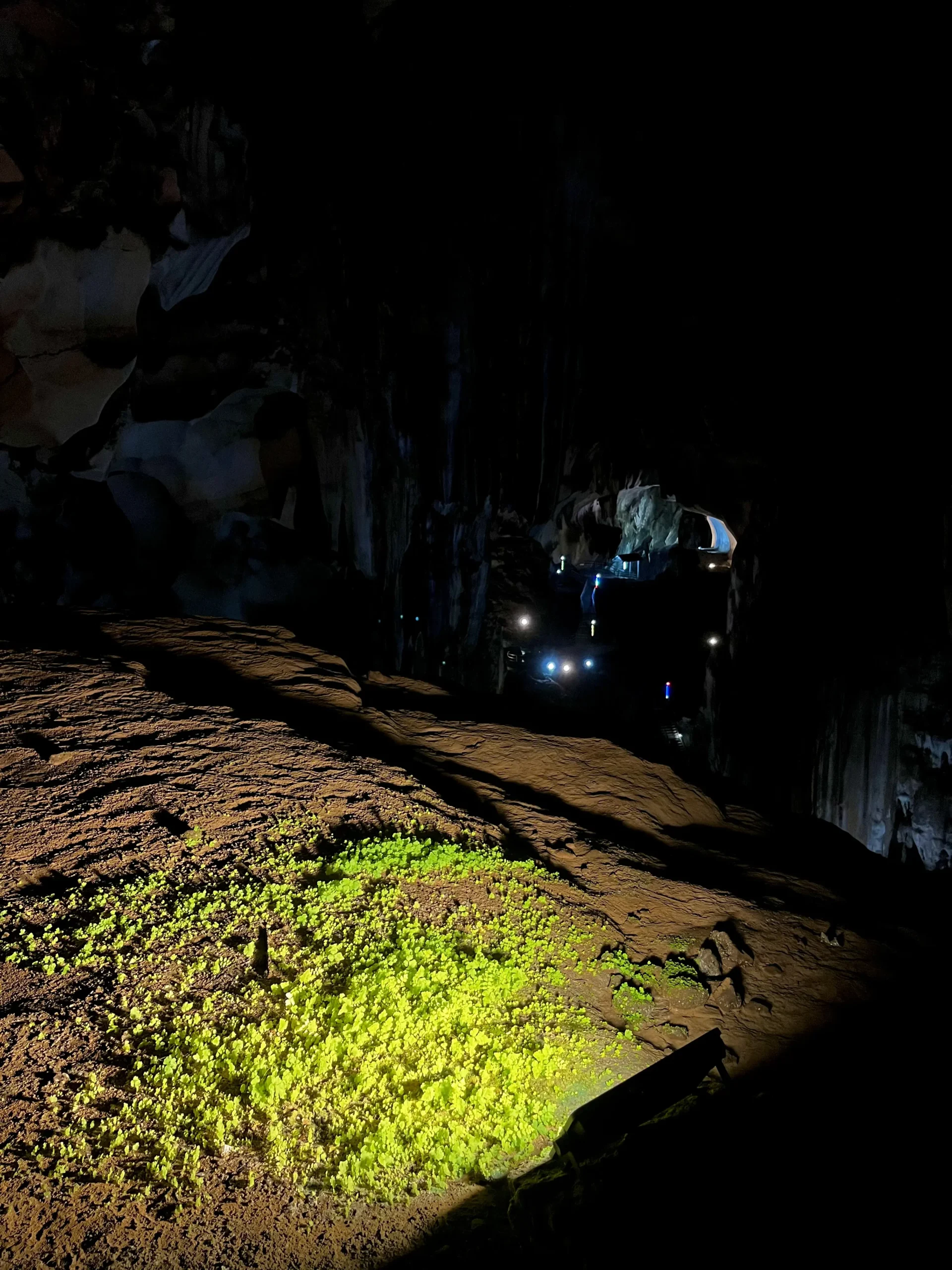 gua-tempurung-review-activities-photo-ticket-price-cave-tempurung-ipoh-perak